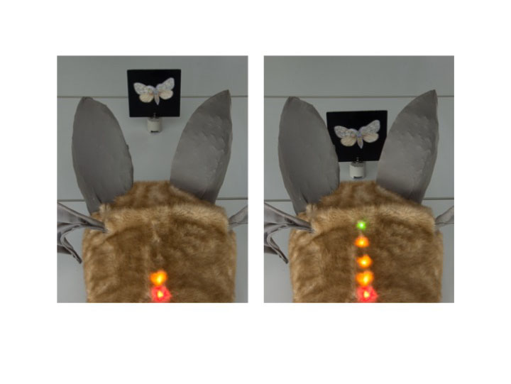 qualitative Entfernungsmessung